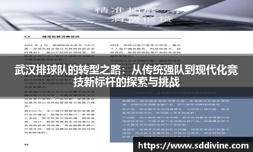武汉排球队的转型之路：从传统强队到现代化竞技新标杆的探索与挑战