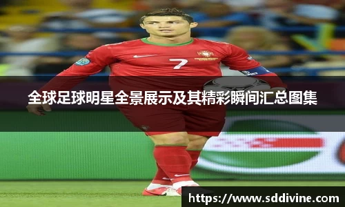 全球足球明星全景展示及其精彩瞬间汇总图集